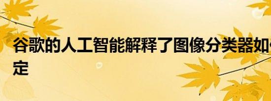 谷歌的人工智能解释了图像分类器如何做出决定