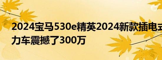 2024宝马530e精英2024新款插电式混合动力车震撼了300万