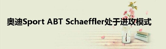 奥迪Sport ABT Schaeffler处于进攻模式