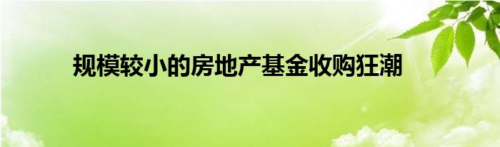 规模较小的房地产基金收购狂潮