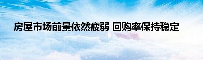 房屋市场前景依然疲弱 回购率保持稳定