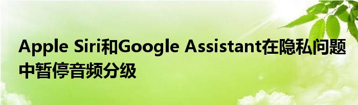 Apple Siri和Google Assistant在隐私问题中暂停音频分级