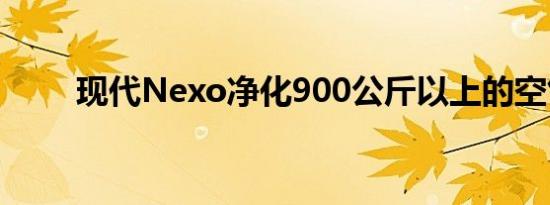 现代Nexo净化900公斤以上的空气