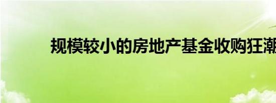 规模较小的房地产基金收购狂潮