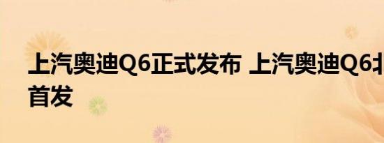 上汽奥迪Q6正式发布 上汽奥迪Q6北京车展首发