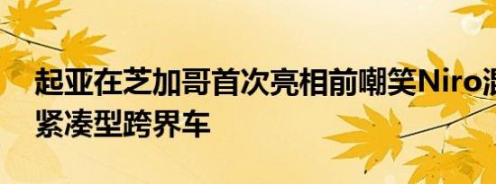 起亚在芝加哥首次亮相前嘲笑Niro混合动力紧凑型跨界车