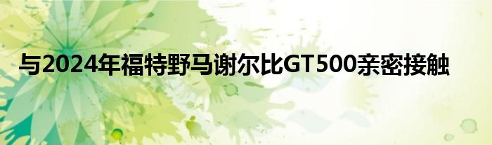 与2024年福特野马谢尔比GT500亲密接触