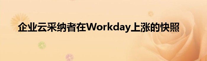 企业云采纳者在Workday上涨的快照