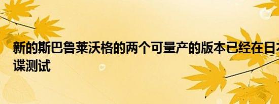 新的斯巴鲁莱沃格的两个可量产的版本已经在日本进行了间谍测试