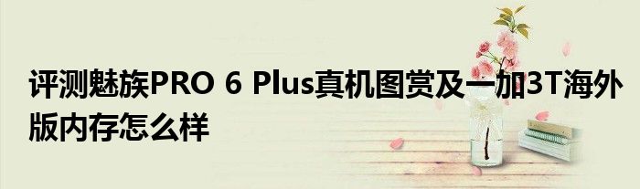 评测魅族PRO 6 Plus真机图赏及一加3T海外版内存怎么样