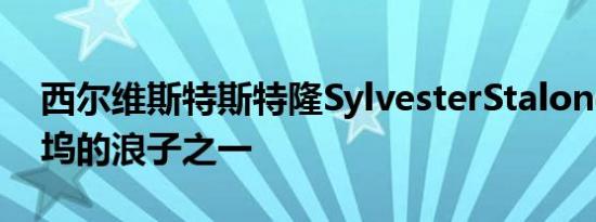 西尔维斯特斯特隆SylvesterStalone是好莱坞的浪子之一