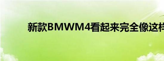 新款BMWM4看起来完全像这样