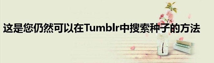 这是您仍然可以在Tumblr中搜索种子的方法