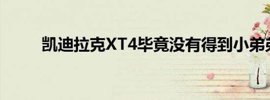 凯迪拉克XT4毕竟没有得到小弟弟