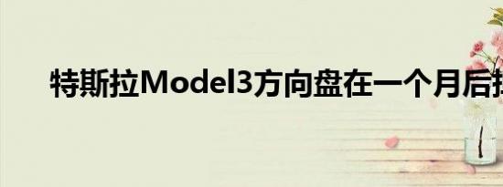 特斯拉Model3方向盘在一个月后掉落