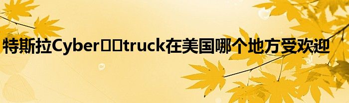 特斯拉Cyber​​truck在美国哪个地方受欢迎