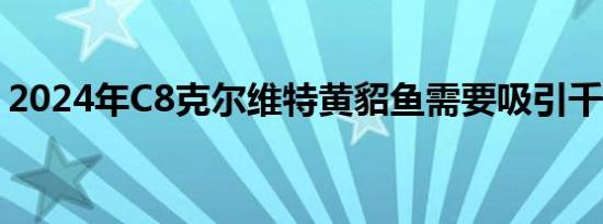 2024年C8克尔维特黄貂鱼需要吸引千禧一代