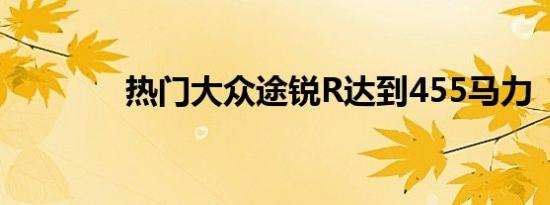 热门大众途锐R达到455马力