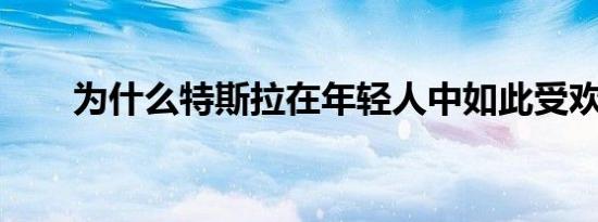 为什么特斯拉在年轻人中如此受欢迎