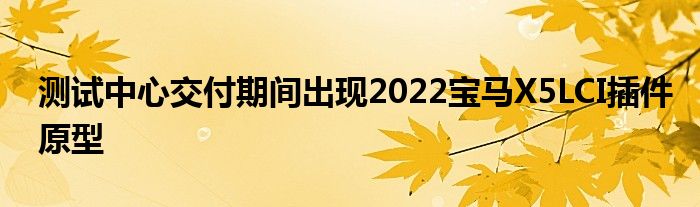 测试中心交付期间出现2022宝马X5LCI插件原型