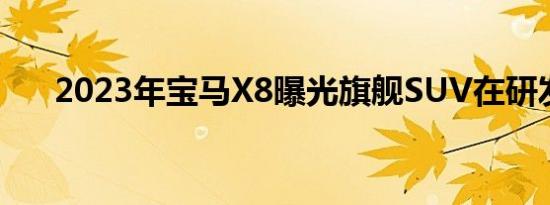 2023年宝马X8曝光旗舰SUV在研发中