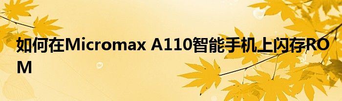 如何在Micromax A110智能手机上闪存ROM