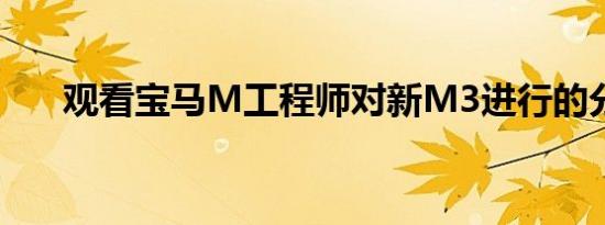 观看宝马M工程师对新M3进行的分类