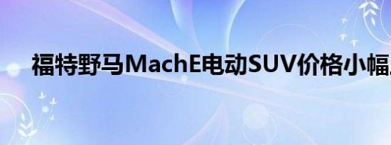 福特野马MachE电动SUV价格小幅上涨