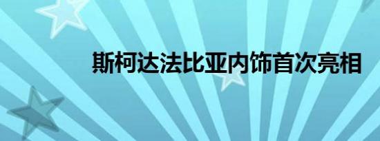 斯柯达法比亚内饰首次亮相