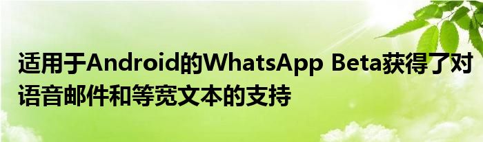 适用于Android的WhatsApp Beta获得了对语音邮件和等宽文本的支持