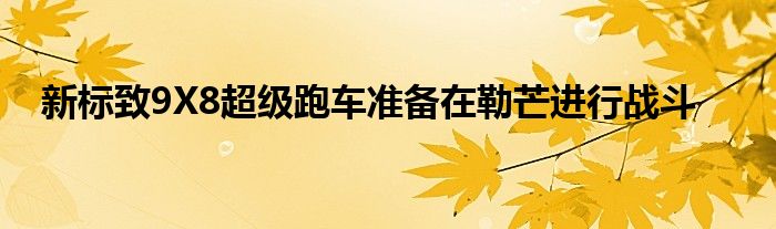 新标致9X8超级跑车准备在勒芒进行战斗