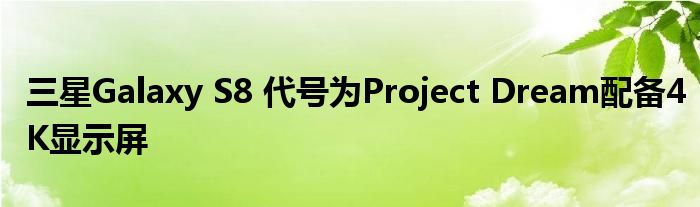 三星Galaxy S8 代号为Project Dream配备4K显示屏