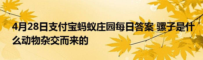 4月28日支付宝蚂蚁庄园每日答案 骡子是什么动物杂交而来的