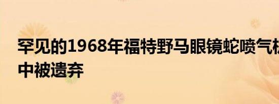 罕见的1968年福特野马眼镜蛇喷气机在森林中被遗弃