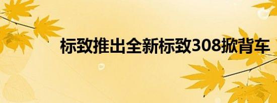 标致推出全新标致308掀背车