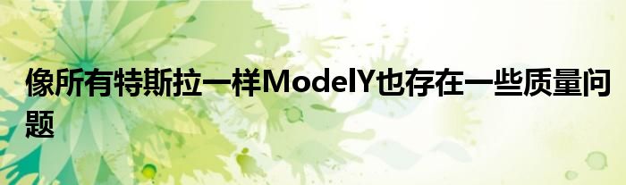 像所有特斯拉一样ModelY也存在一些质量问题