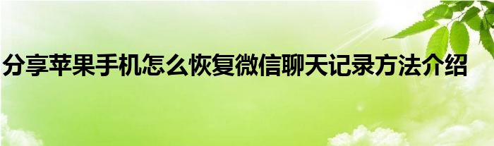 分享苹果手机怎么恢复微信聊天记录方法介绍