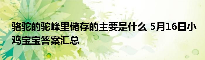 骆驼的驼峰里储存的主要是什么 5月16日小鸡宝宝答案汇总