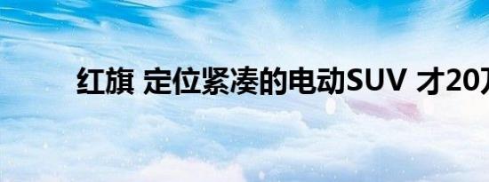 红旗 定位紧凑的电动SUV 才20万