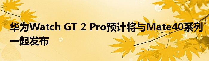 华为Watch GT 2 Pro预计将与Mate40系列一起发布