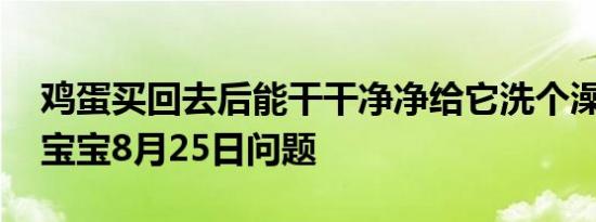 鸡蛋买回去后能干干净净给它洗个澡吗 小鸡宝宝8月25日问题