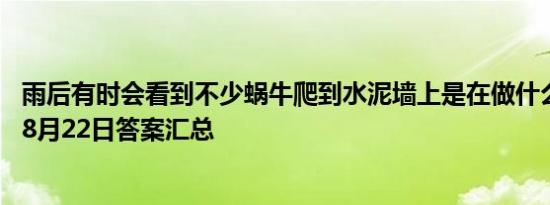 雨后有时会看到不少蜗牛爬到水泥墙上是在做什么 小鸡宝宝8月22日答案汇总