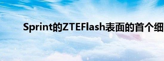 Sprint的ZTEFlash表面的首个细节