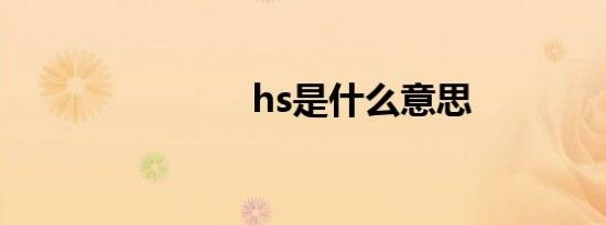 hs是什么意思